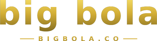 big bola logo